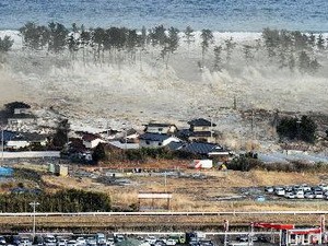Japan shares recent natural disaster experiences - ảnh 1